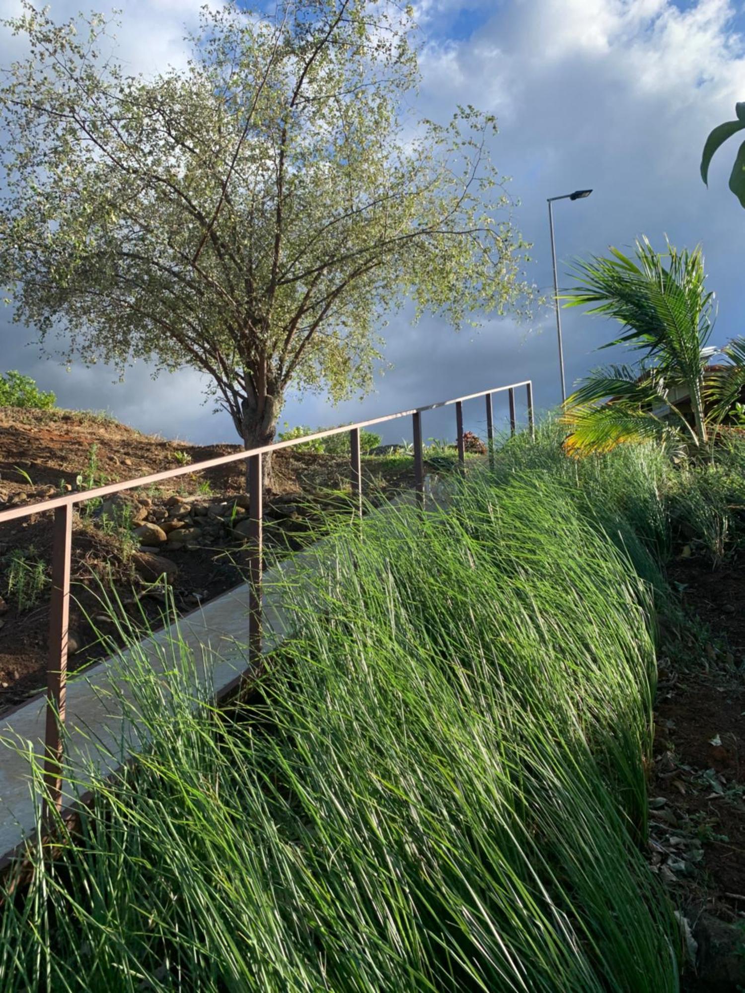 Conectar Con La Naturaleza Esparza Extérieur photo
